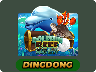 Dolphin Reef